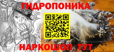 СК Краснодар