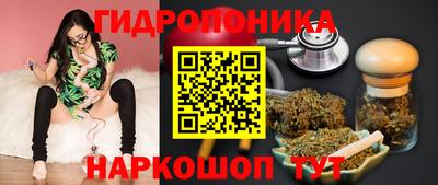 мяу мяу мука Краснознаменск