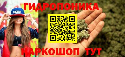 СК Краснодар