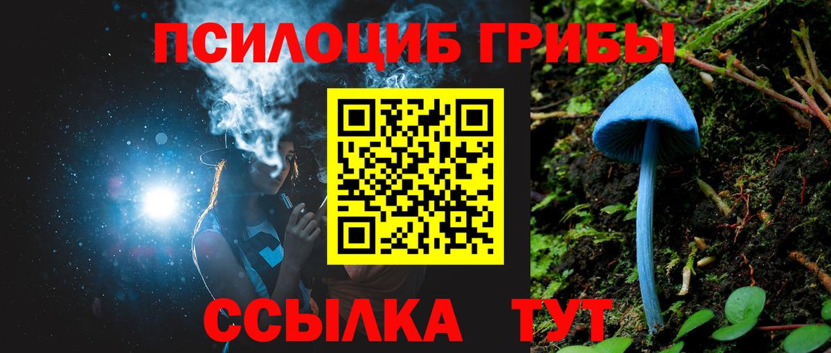 Галлюциногенные грибы Cubensis Великий Новгород