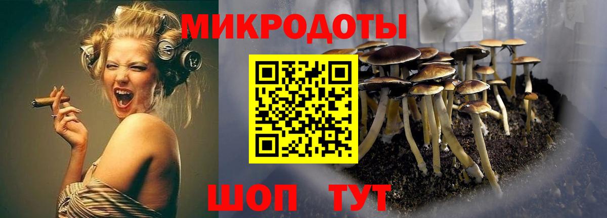 Великий Новгород  сколько стоит  Вход с VPN  Псилоцибиновые грибы Cubensis  Псилоцибиновые грибы мицелий 